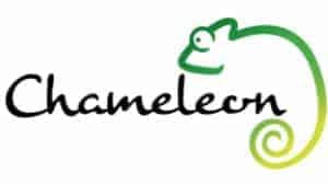 chameleon brick logo